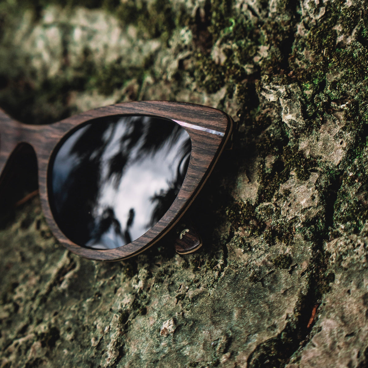 OYSTER Óculos de Sol de Madeira PICA·PAU Woodcraft