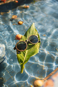 PACHAMAMA Óculos de Sol de Madeira PICA·PAU Woodcraft